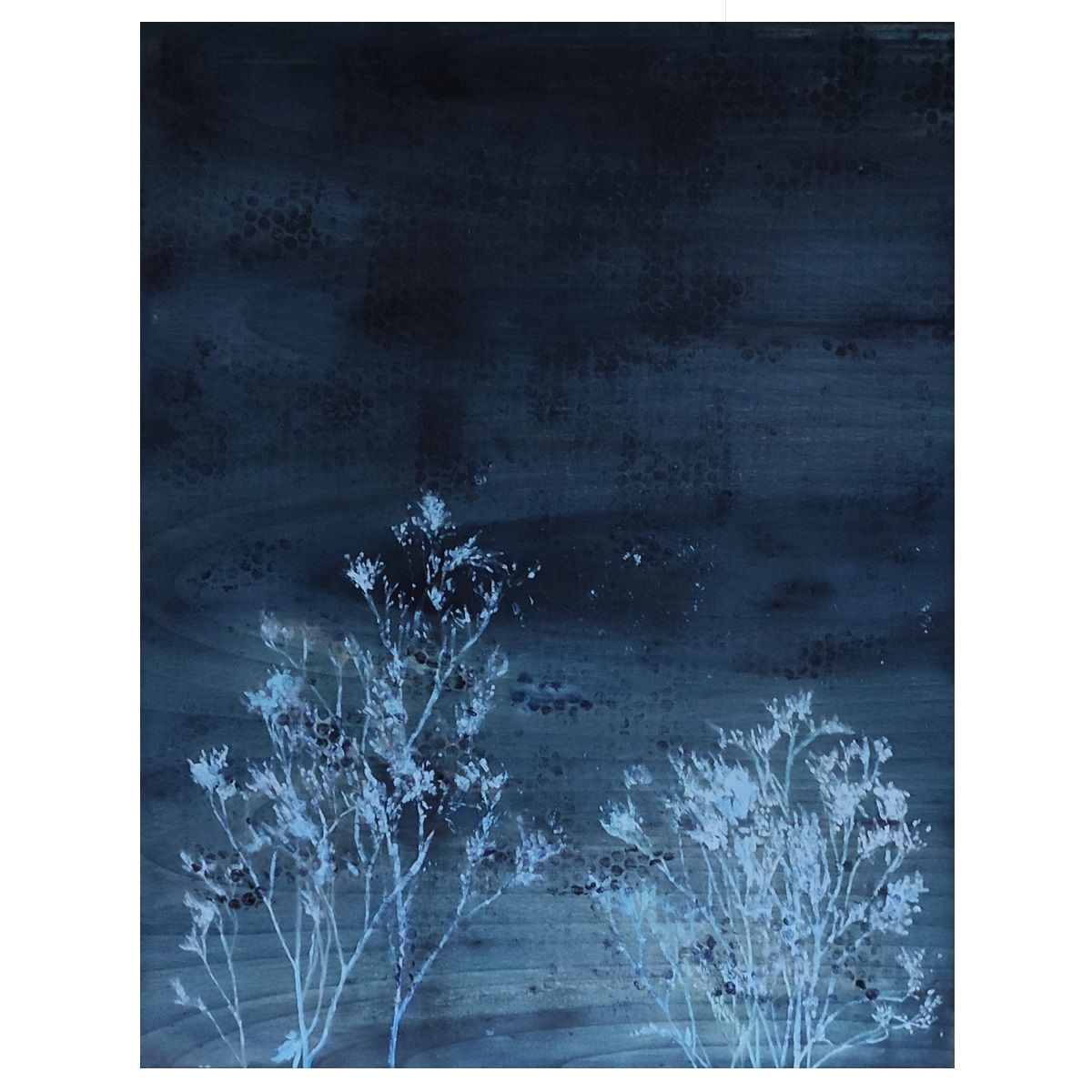 WILD BLUE – Irene Fabra - irene-fabra