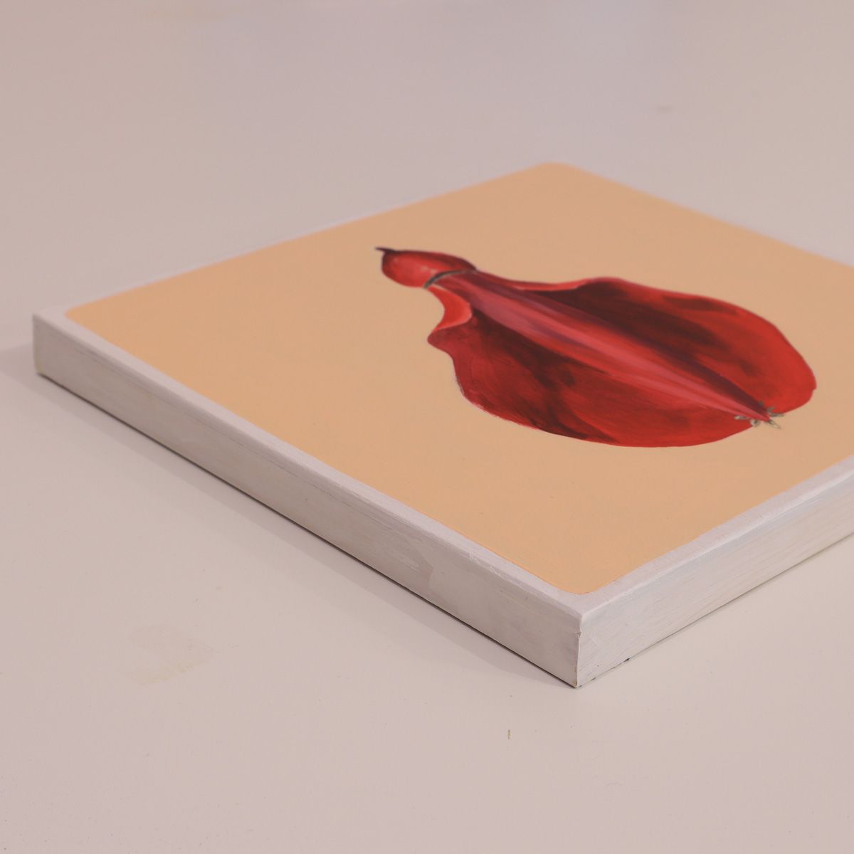 Flor del Ceibo 08 - ana-patitu