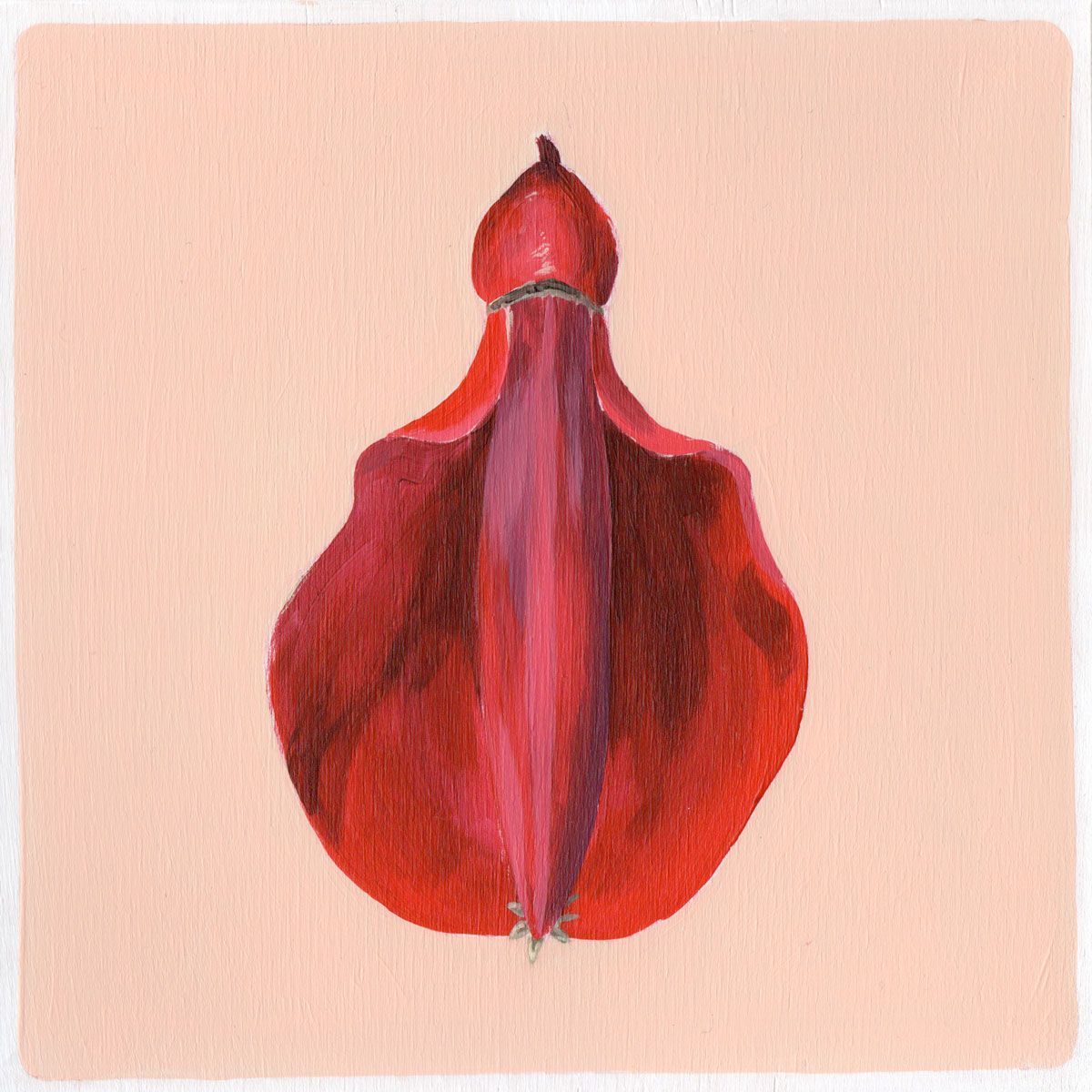 Flor del Ceibo 08 - ana-patitu
